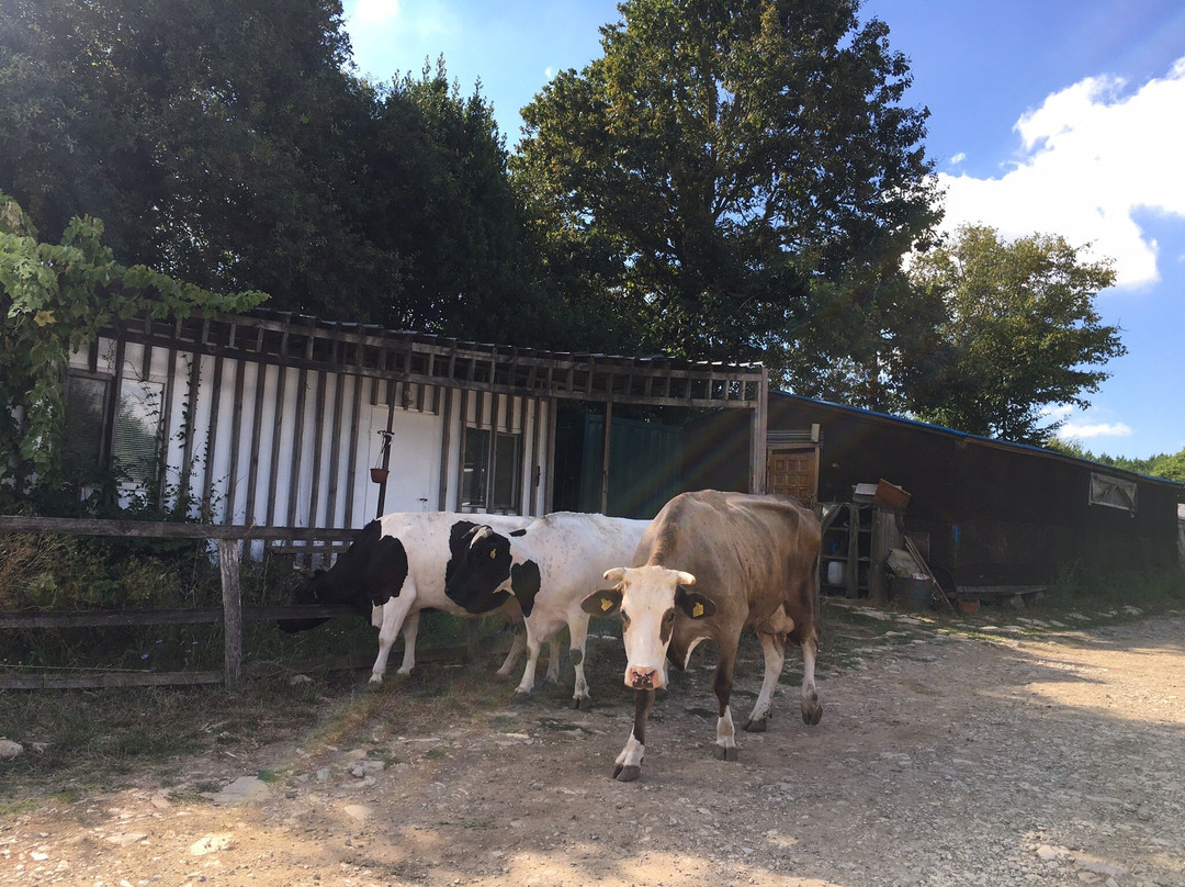 Narkoy Ecologic Hotel & Organic Farm