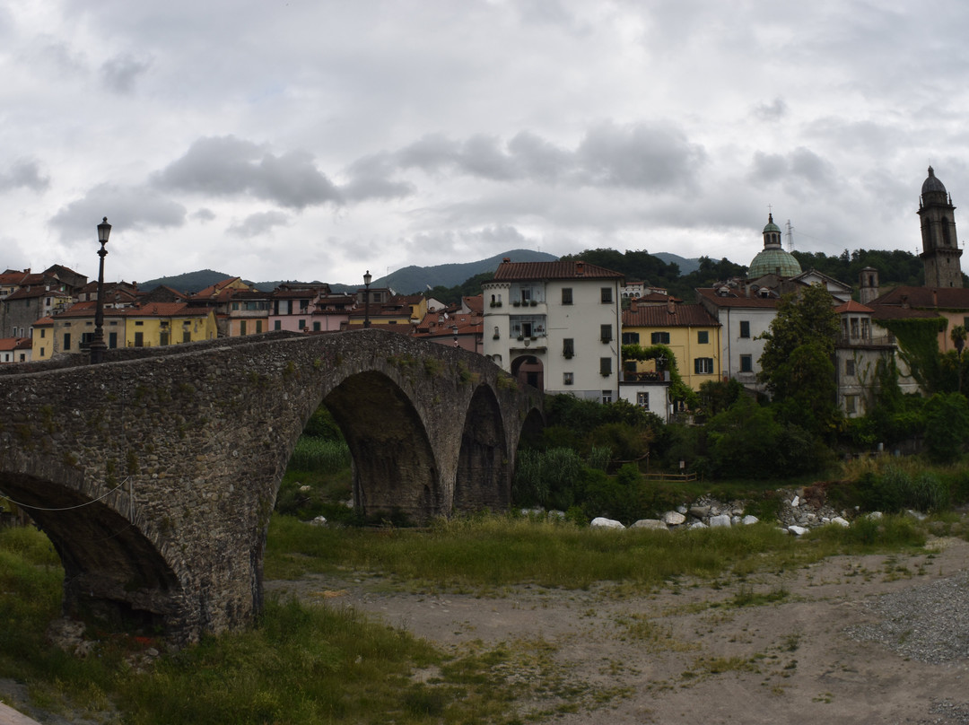 Ponte della Cresa景点图片