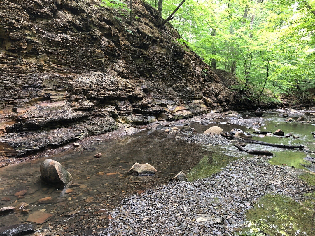 Shale Hollow Park-Lewis Center必去景点
