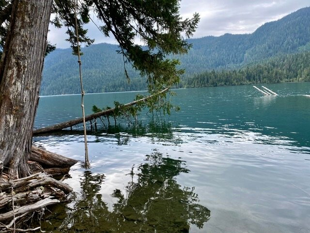 Packwood Lake Trail景点图片