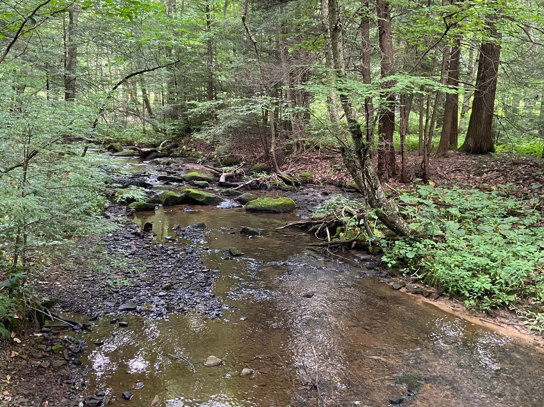 Kooser State park景点图片