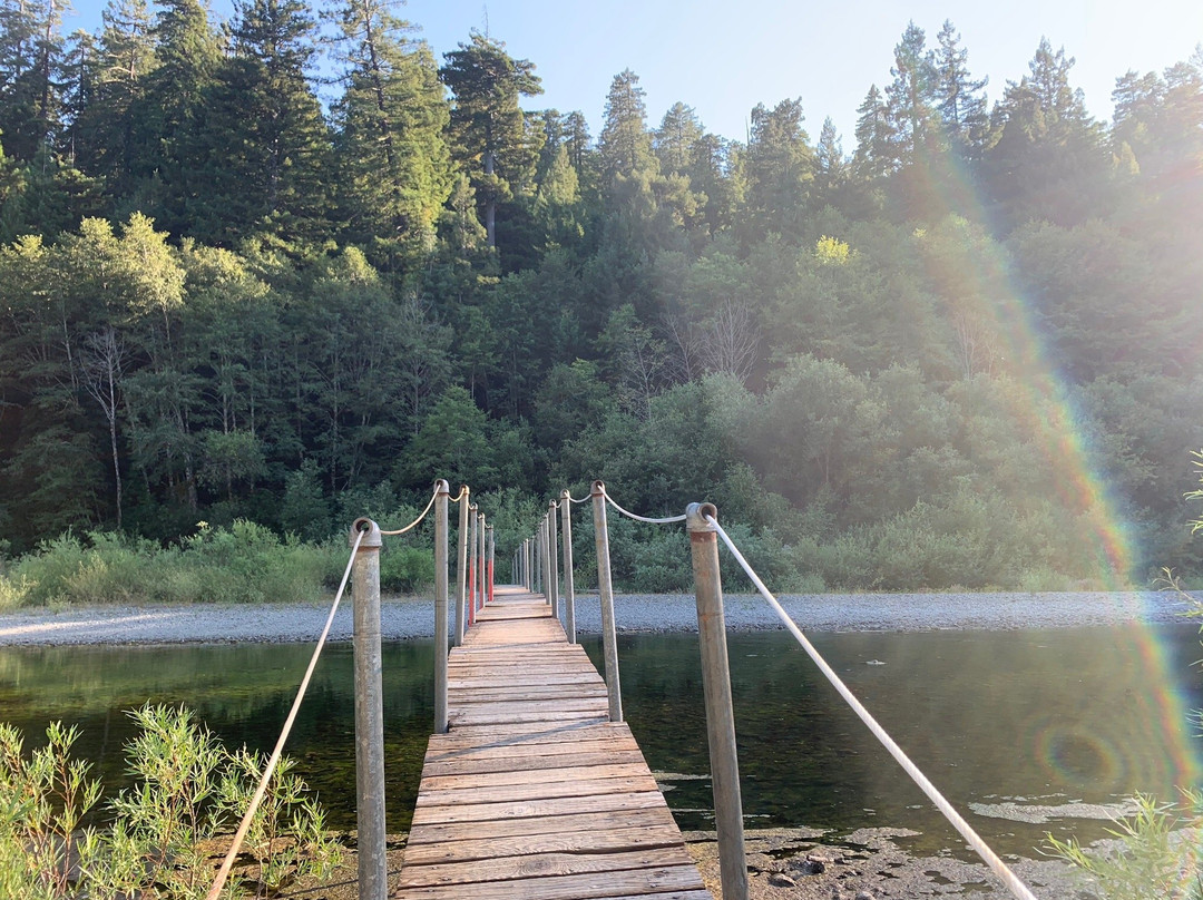 Humboldt Redwoods State Park景点图片