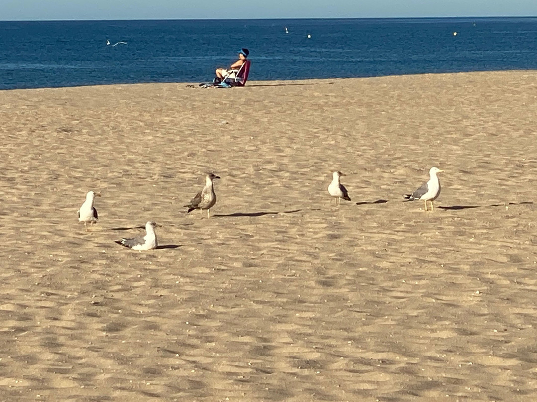 Alagoa Praia Norte主图