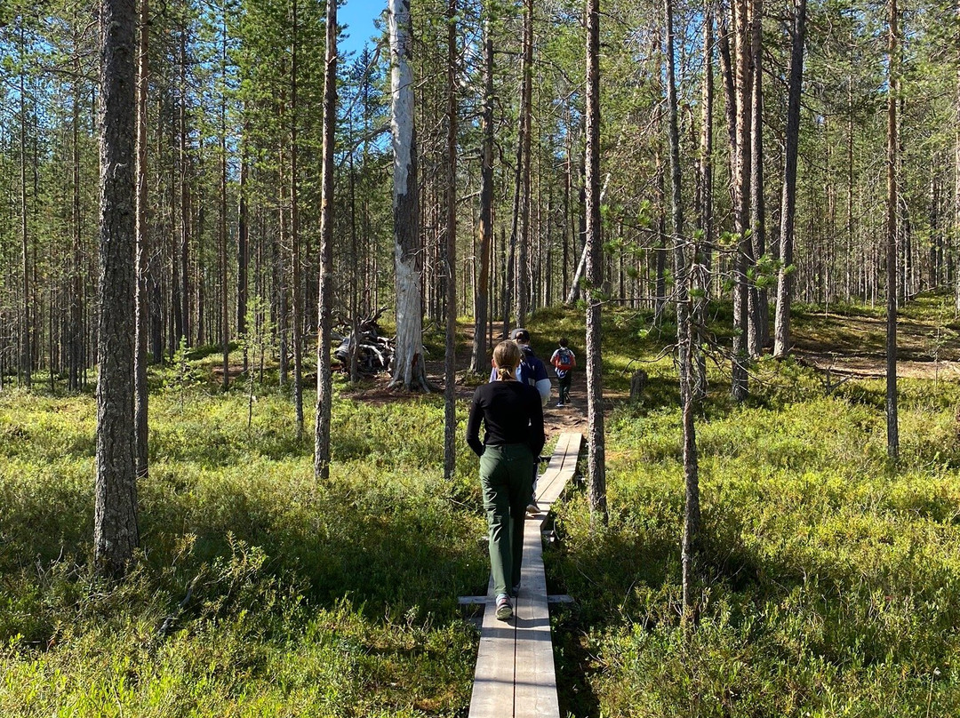 Hossa National Park-Suomussalmi必去景点
