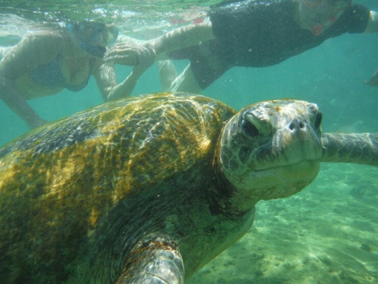 Rathgama酒店住宿-Nimal's Homestay