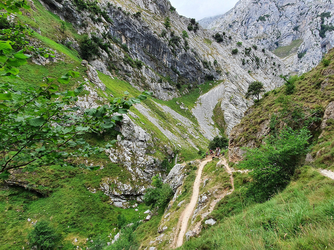 Mirador Naranjo de Bulnes景点图片