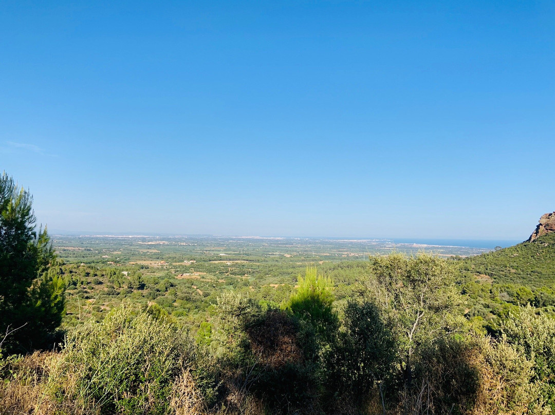 Miami-Aventura Quads-Miami Platja必去景点