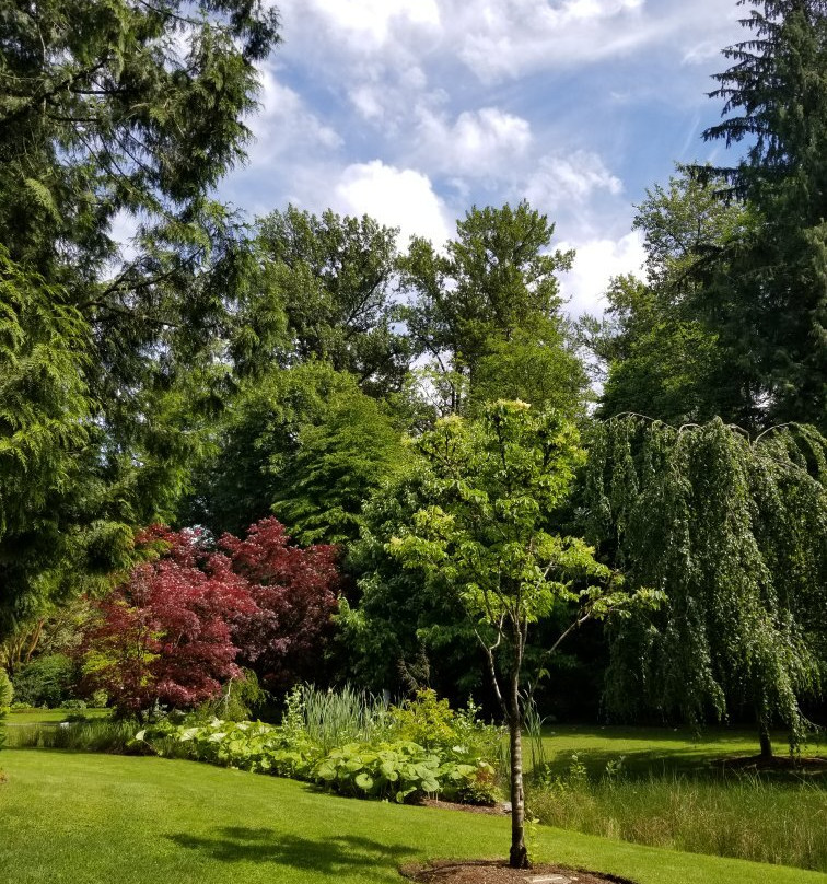 Bear Creek Park-素里必去景点