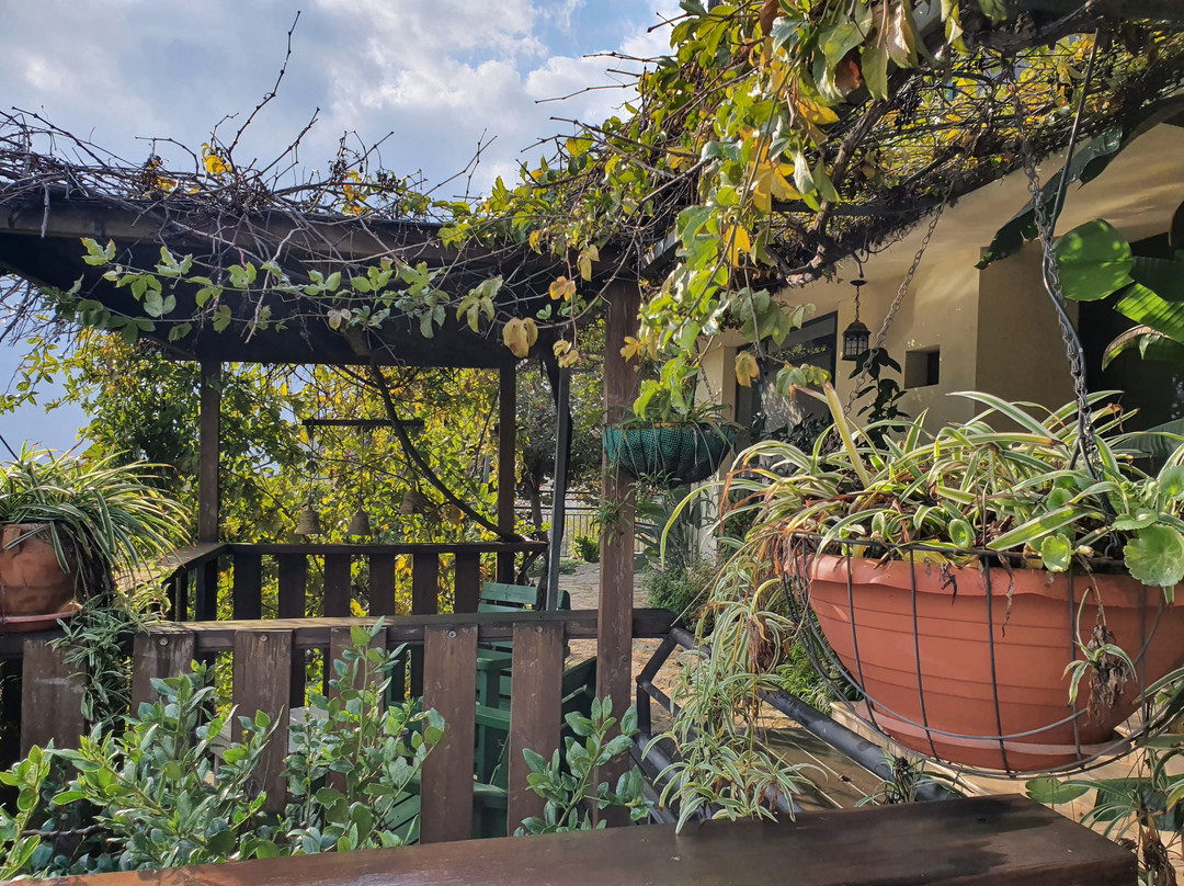 Adva - High Above All主图