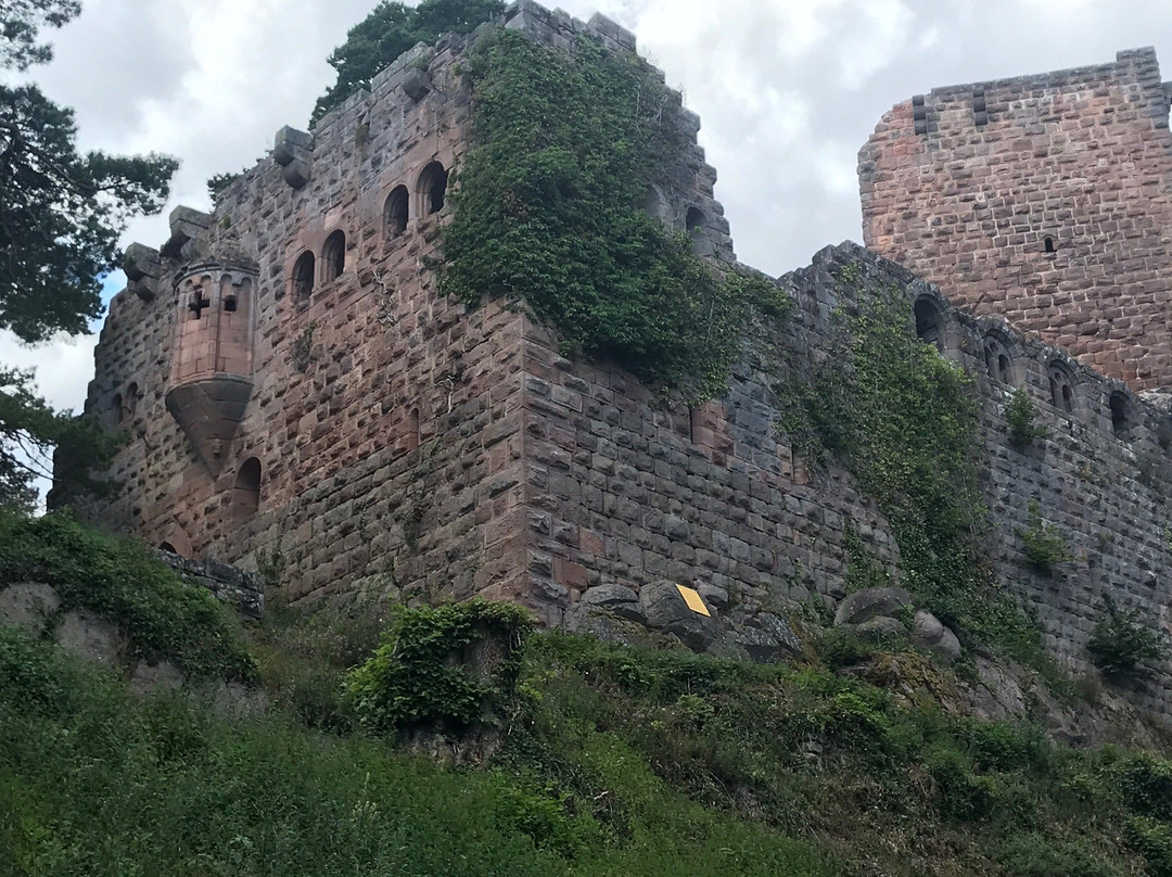 Chateau de Landsberg景点图片