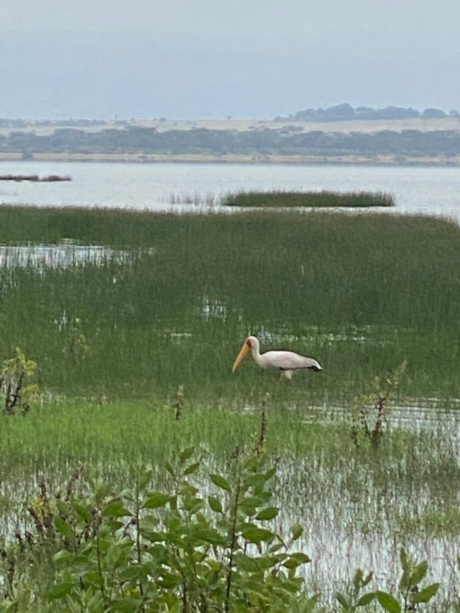 Sirville Lake Elementaita Lodge-浴室