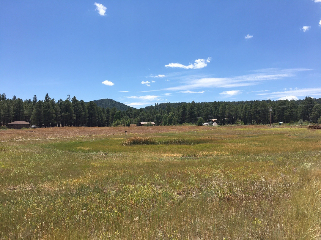The Arboretum at Flagstaff-弗拉格斯塔夫必去景点