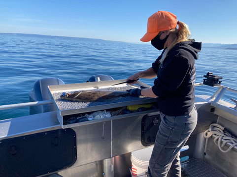 Central Charters and Tours-荷马必去景点