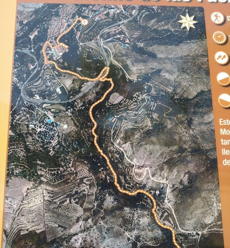 Ruta de los Nogales Centenarios-Nerpio必去景点