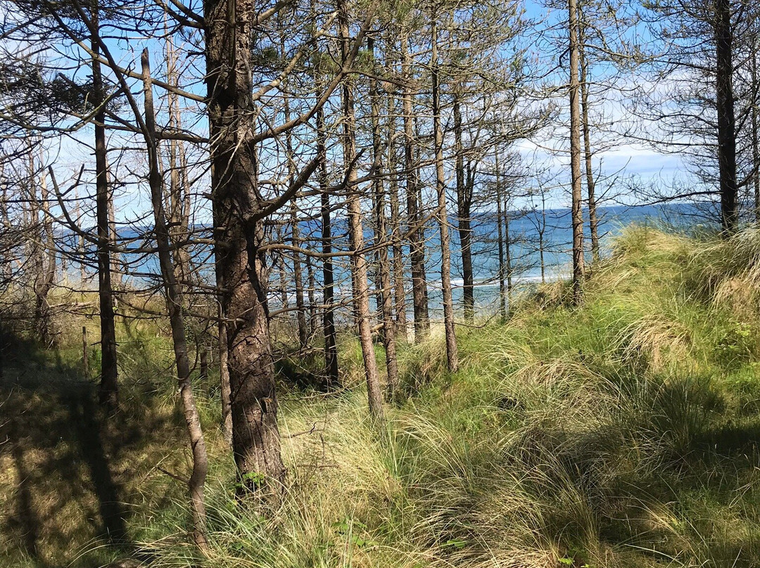 The Raven Nature Reserve-Curracloe必去景点