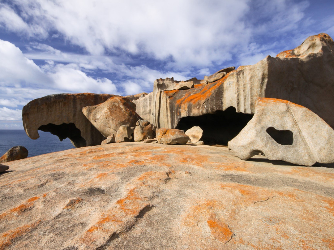 Kangaroo Island Safari景点图片
