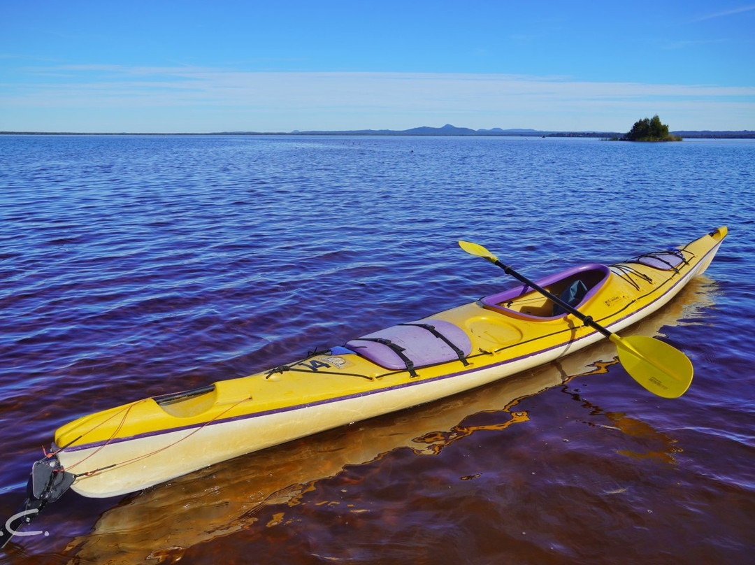 Kanu Kapers Australia Noosa Everglades Kayak Day Tours-努沙必去景点