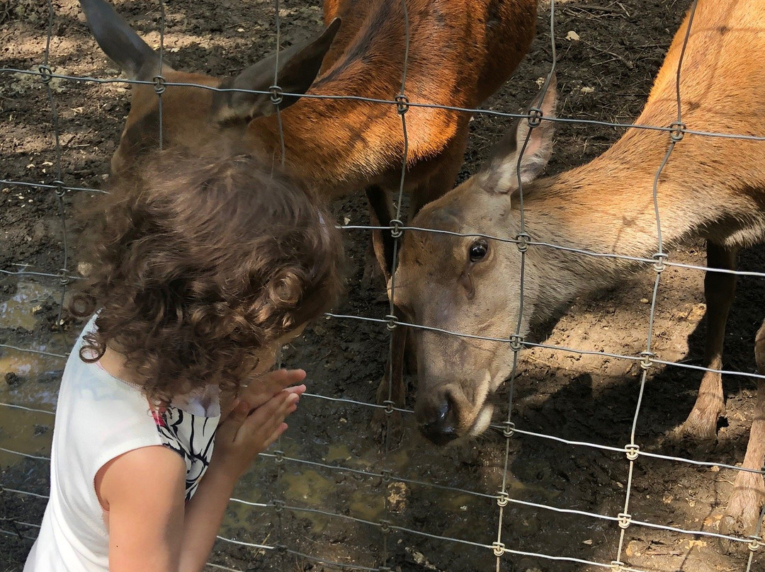 Parc zoologique Bienne-比尔必去景点