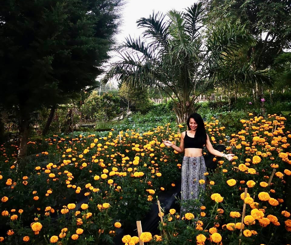 Munduk Farm House主图