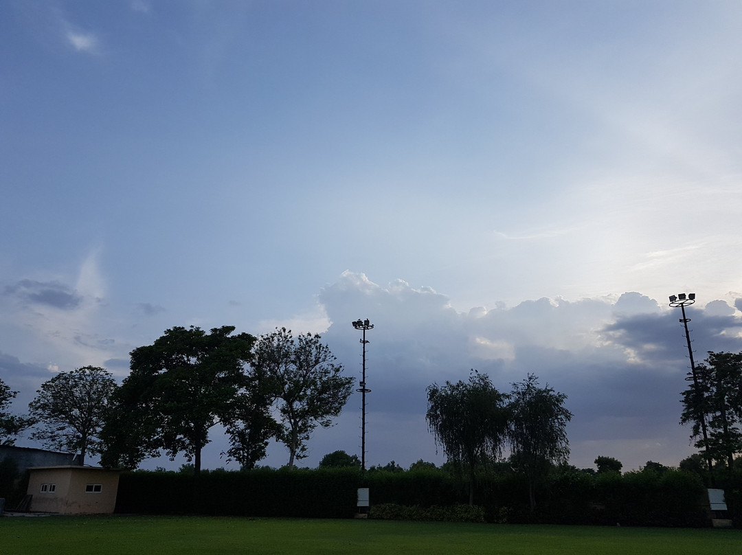 Aarohi Starz Club主图