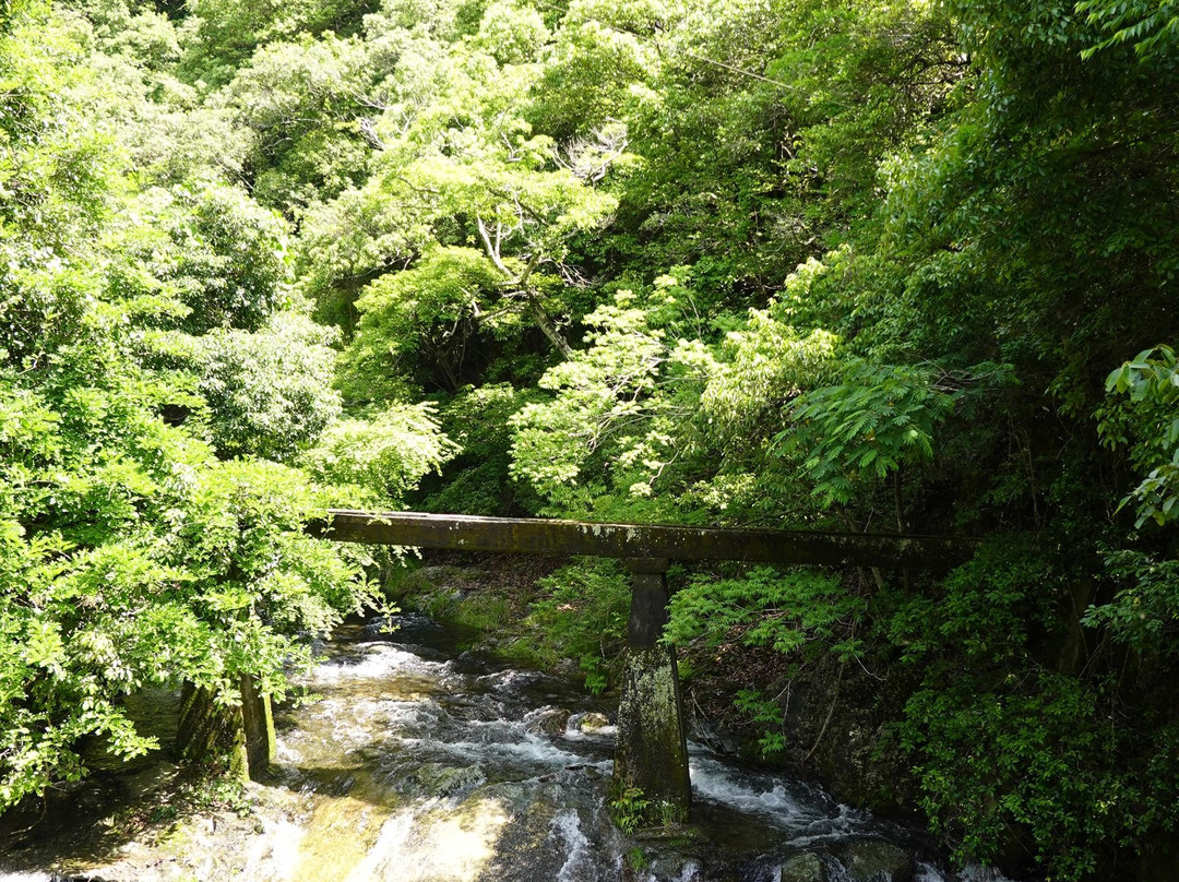 Tado Valley-桑名市必去景点