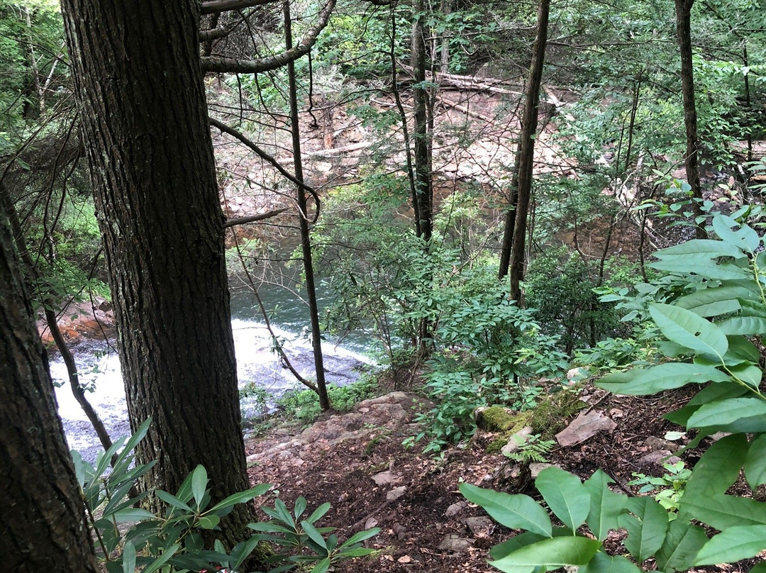 Stinging Fork Falls-Spring City必去景点