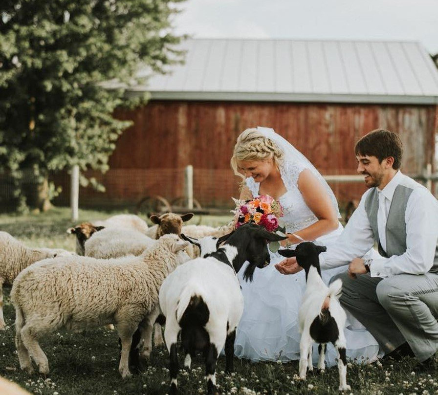 Mulberry Lane Farm-Hilbert必去景点