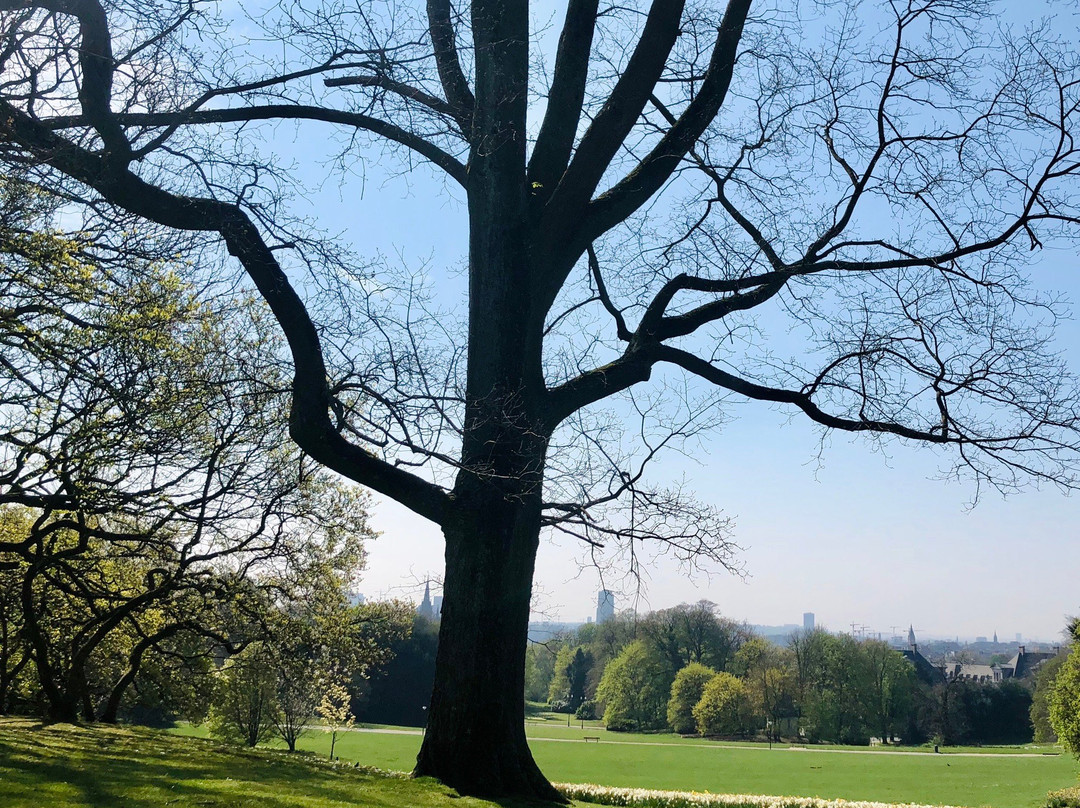 Park Van Laken-布鲁塞尔必去景点