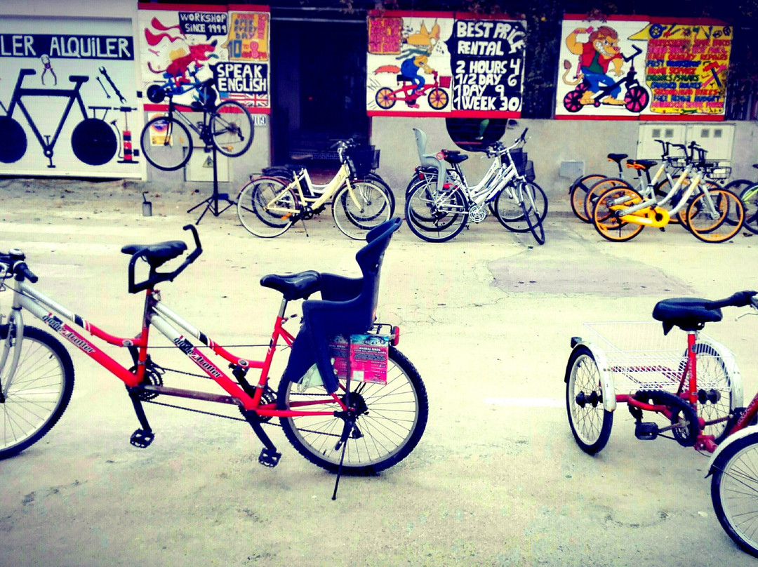 ALQUILER DE BICICLETAS LO PAGAN景点图片