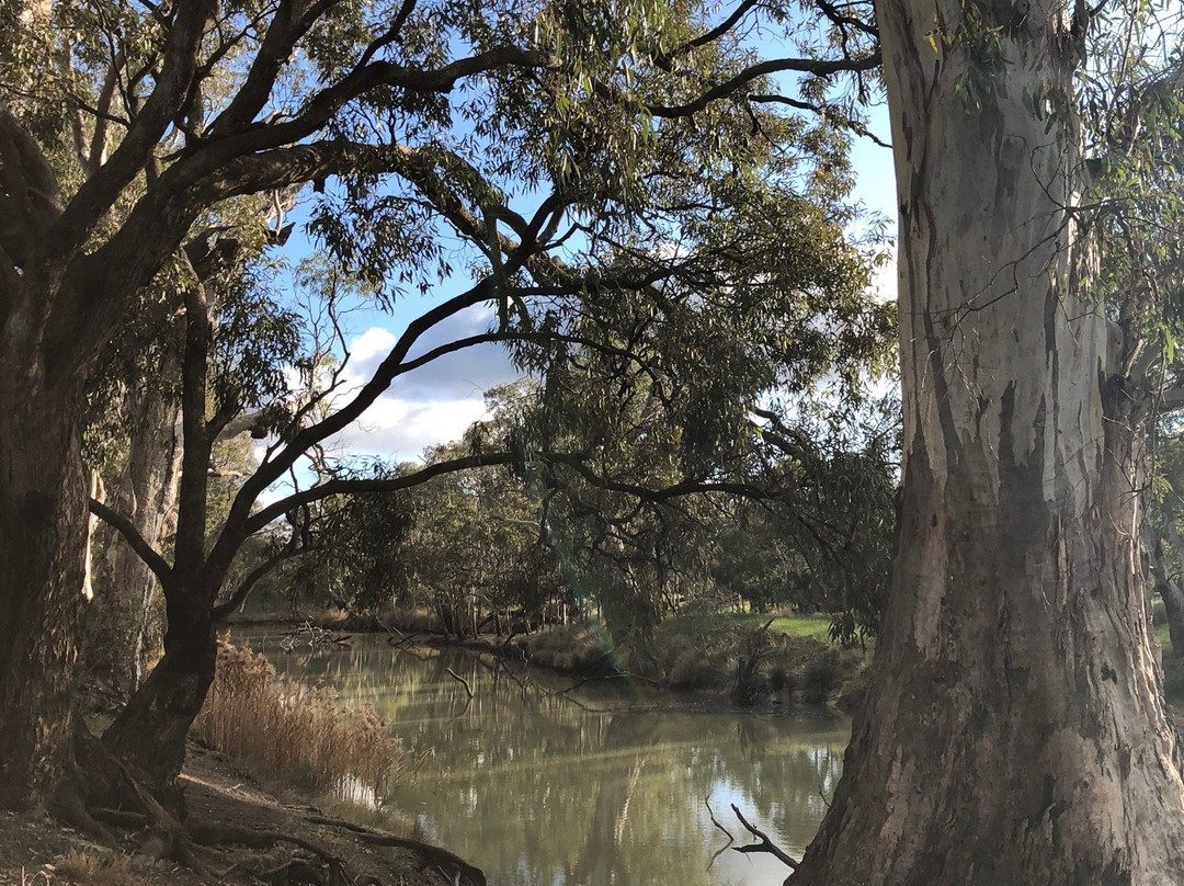 Yanga Track-霍舌姆必去景点