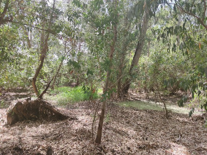 Shvil Nakhal Na'aman-Qiryat Bialik必去景点