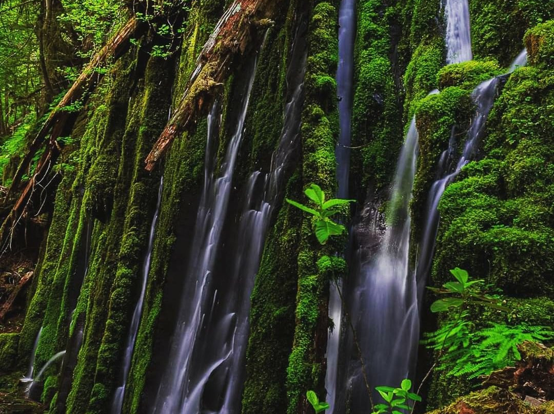 Umpqua Hot Springs-罗斯堡必去景点
