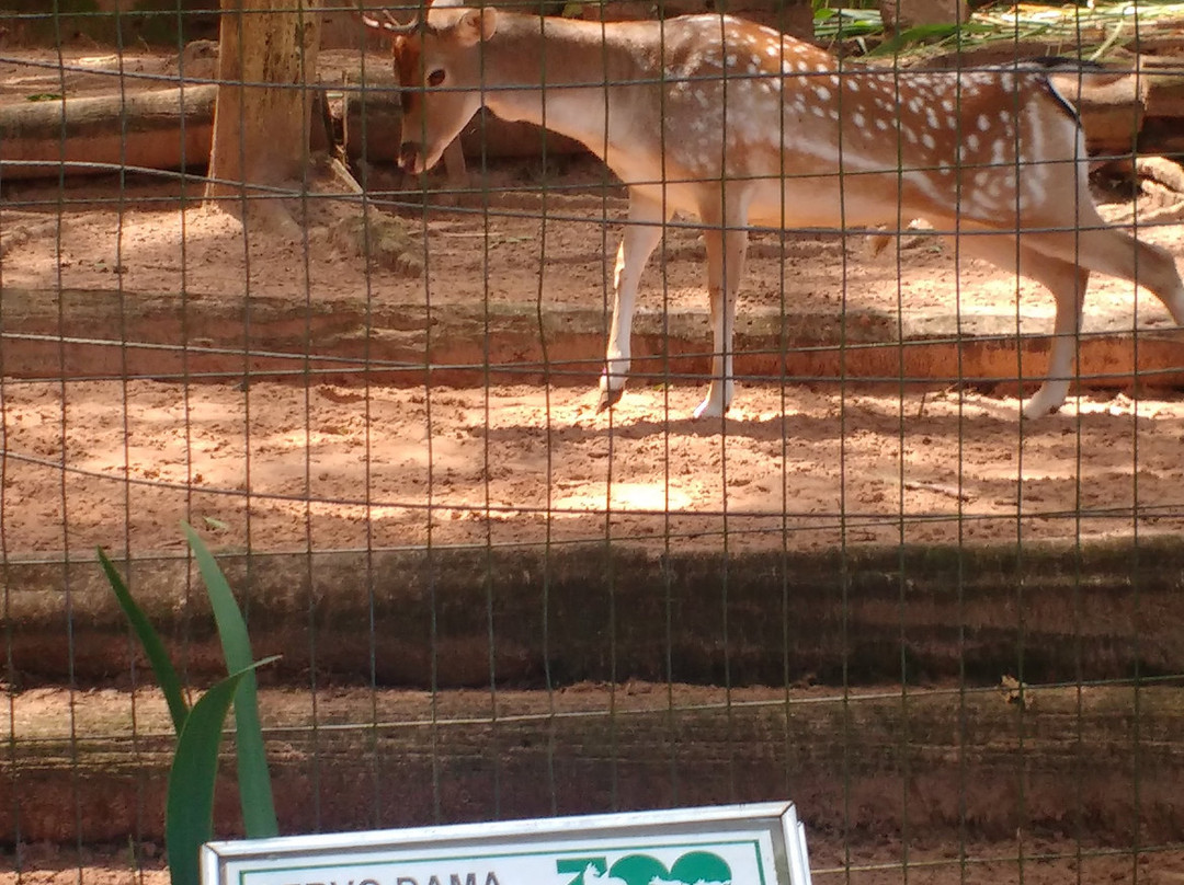 Parque Zoologico Municipal de Bauru景点图片