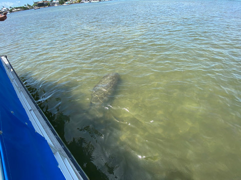 Sun-N-Fun Tours & Charters-迈尔斯堡海滩必去景点