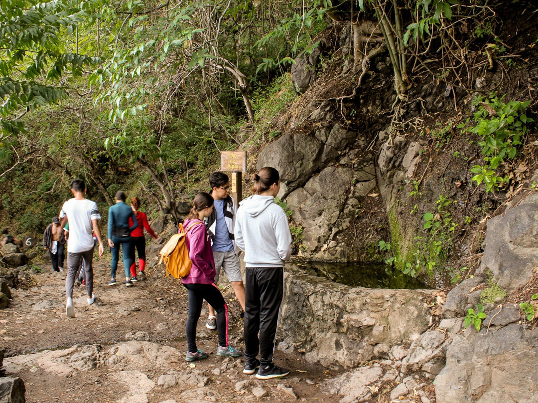 Recorridos de Autor-瓜达拉哈拉必去景点
