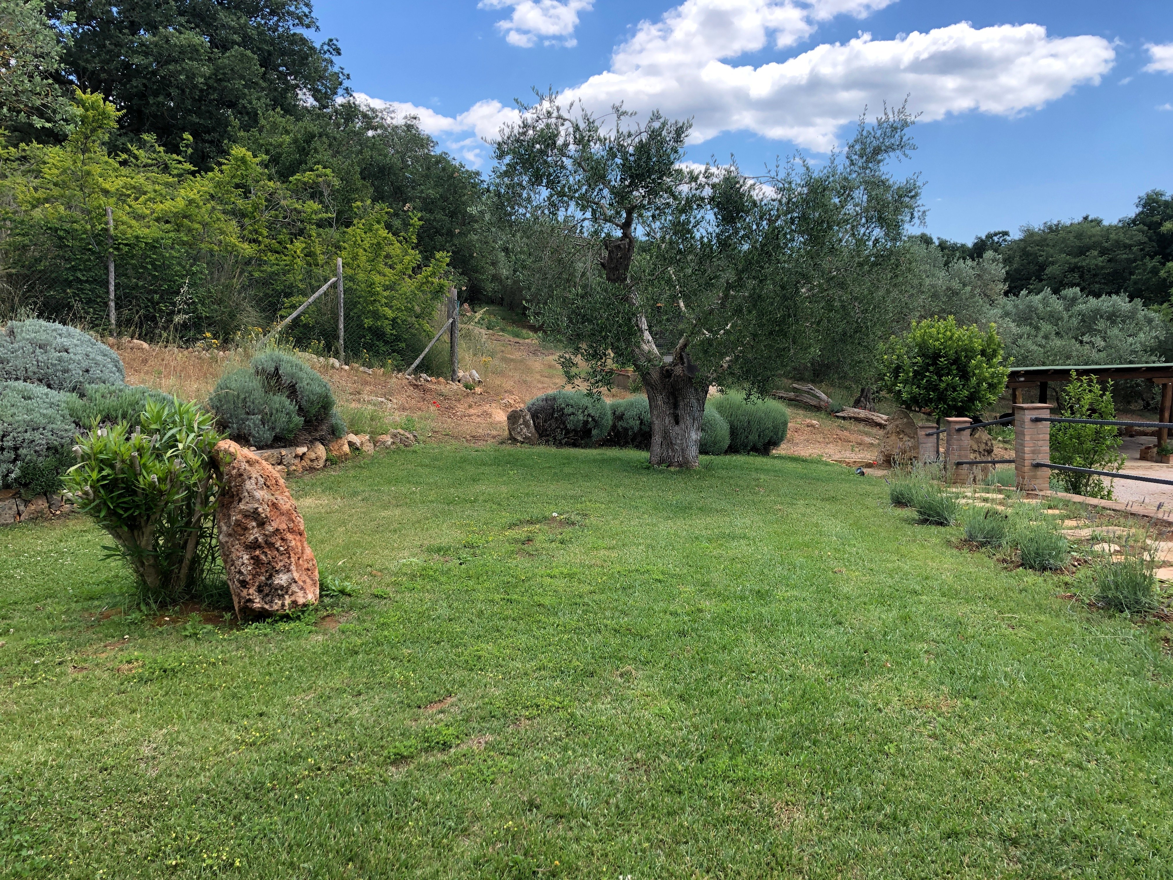 B&B Il Giardino-浴室