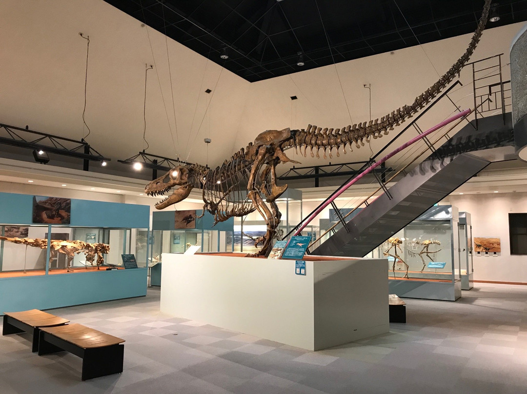 Kannamachi Dinosaurs Center景点图片