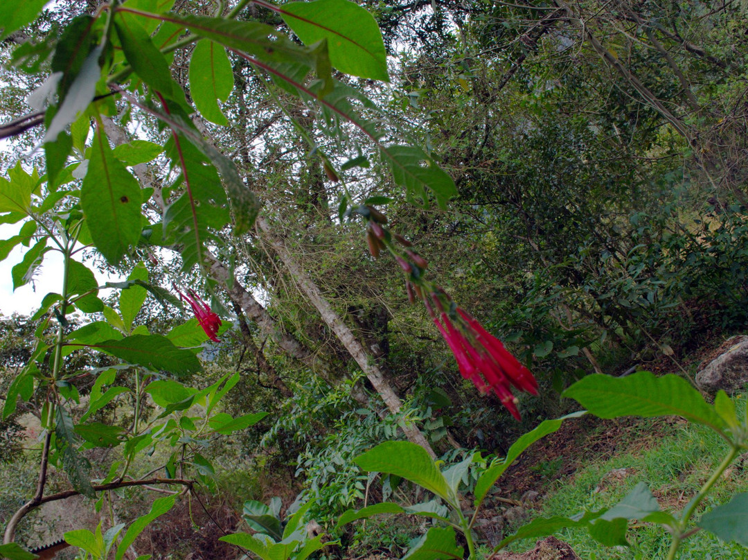 2 day Inca Trail Trek-马丘比丘必去景点