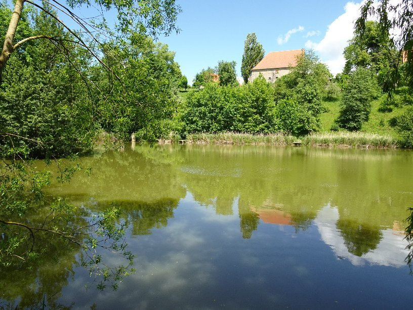 Kloster Kirchberg景点图片