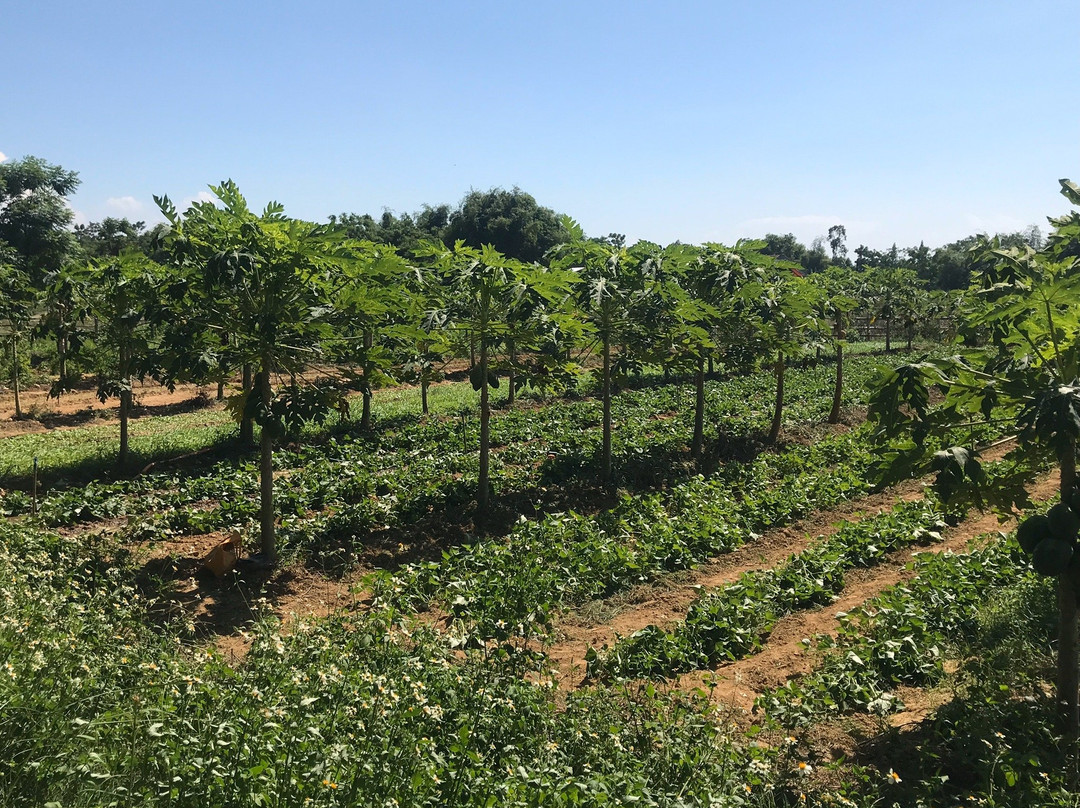 Thanh Chiêm Village主图