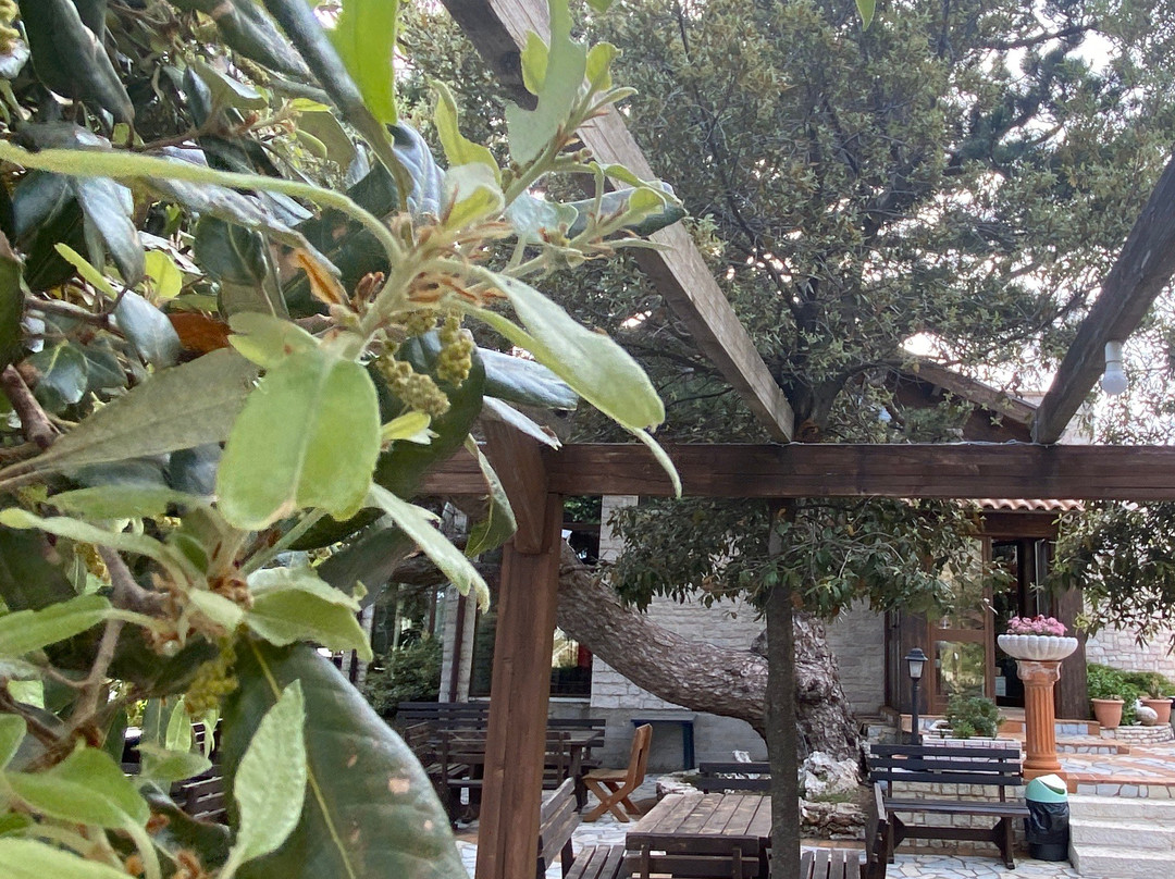 Llogara Pass-Palase必去景点