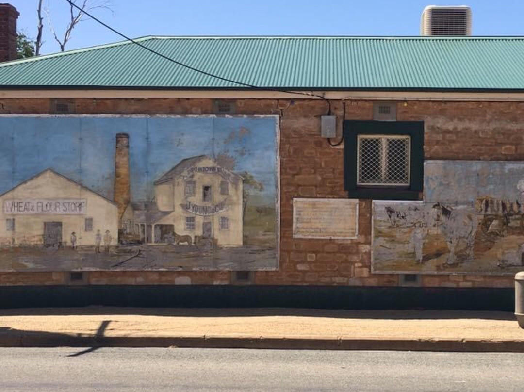 Snowtown Water Tower Art景点图片
