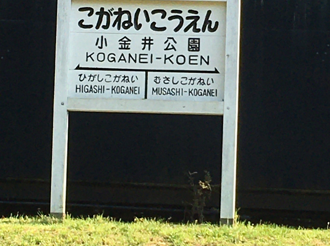 Koganei Park SL Exhibition Center-小金井市必去景点
