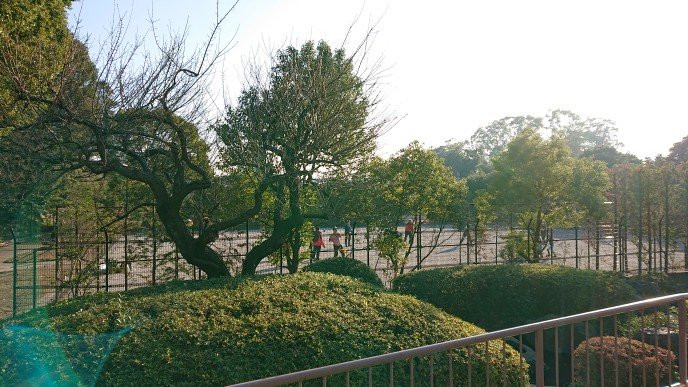 Denenchofu Seseragi Park景点图片