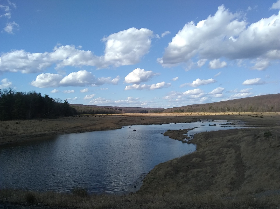 Meadow Grounds Lake-McConnellsburg必去景点