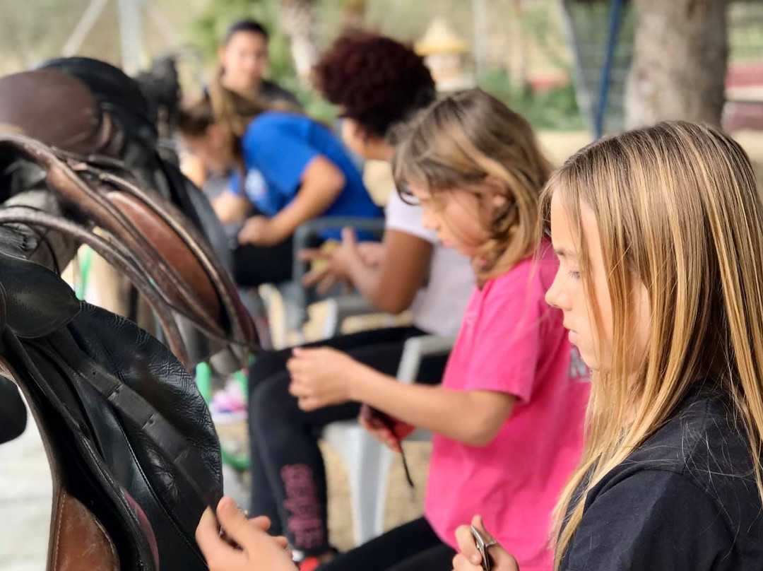 Trex Andalucia-图雷必去景点