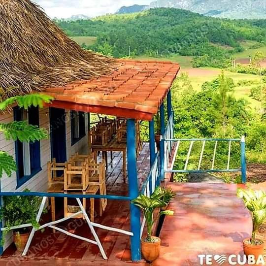 Jardin Botanico de Viñales-维纳勒斯必去景点