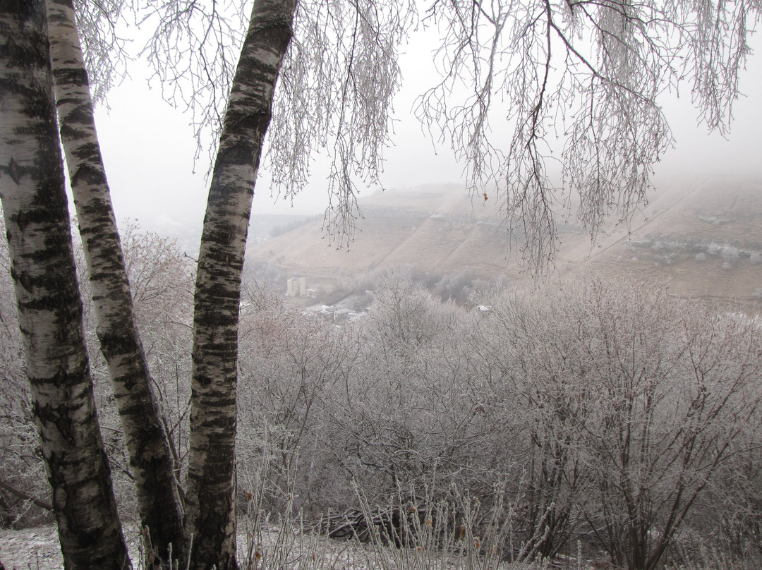 Monument Lermontov M.Yu.景点图片