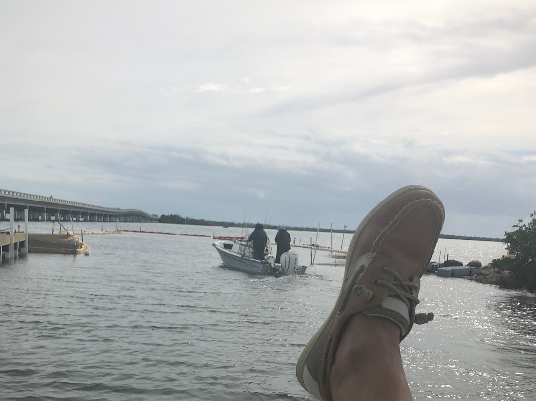 Old Wooden Bridge Marina主图