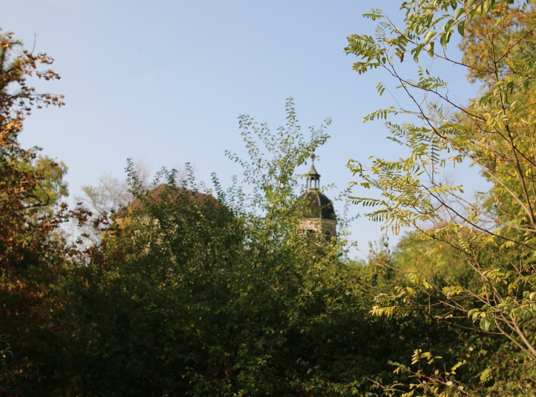 Eglise Notre Dame de l'Assomption景点图片